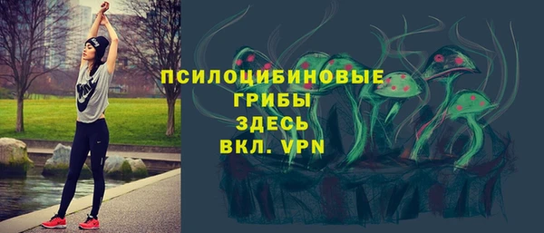 мяу мяу мука Арсеньев